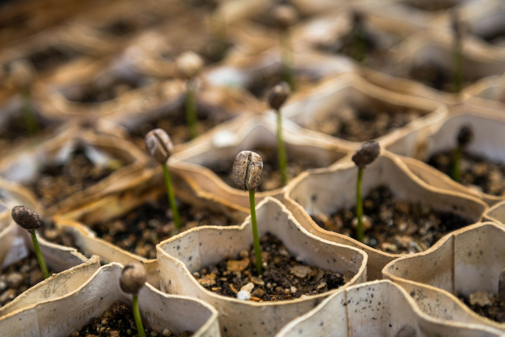 seed funding for women